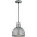 R Series 1 Light 10 inch Galvanized Pendant Ceiling Light